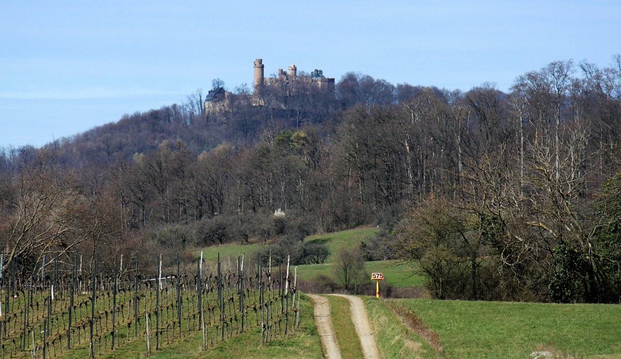 Blick auf Auerbach an der Bergstraße.
